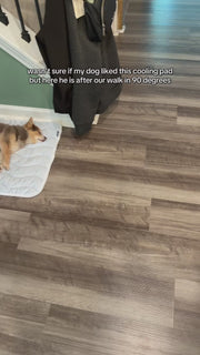 Dog Cooling Mat – Self Cooling Pad for Dogs, Pet Cooling Bed for Summer Heat Relief